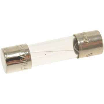 Fusibile Rapido Ø 5X20 Mm - 10 Pz 3049042