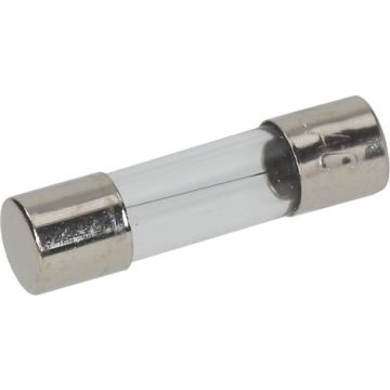 Fusibile Rapido Ø 5X20 Mm - 10 Pz 3049049