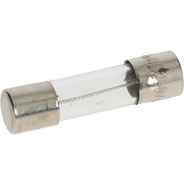 Fusibile Ritardato Ø 5X20 Mm - 10 Pz 3049005