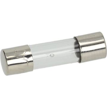 Fusibile Ritardato Ø 5X20 Mm - 10 Pz 3049013