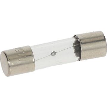 Fusibile Ritardato Ø 5X20 Mm - 10 Pz 3049017