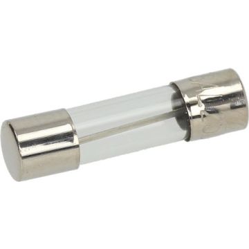 Fusibile Ritardato Ø 5X20 Mm - 10 Pz 3049021