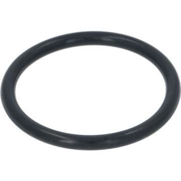Guarnizione Tappo Addolcitore 3010083 x 10 pezzi