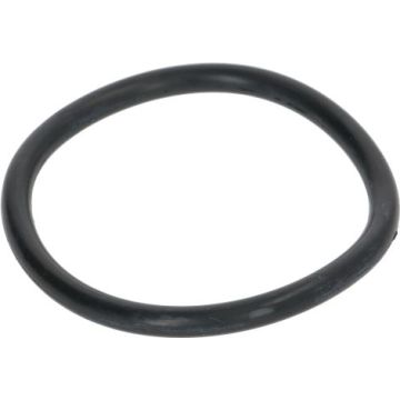 Guarnizione Tappo Per Addolcitore 3010018 x 10 pezzi