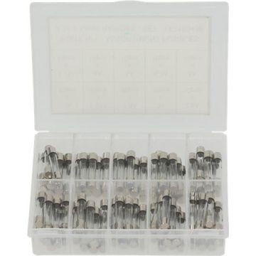 Kit Fusibili Rapidi 6,35X32 - 100Pz 250V 7150436